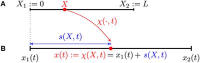 Peristaltic Waves as Optimal Gaits in Metameric Bio-Inspired Robots